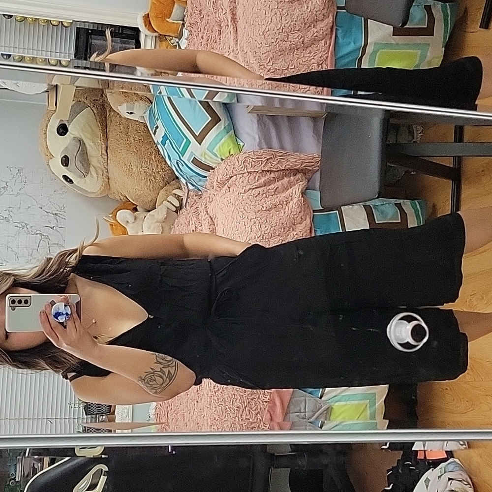 Aritzia Babaton Jumpsuit